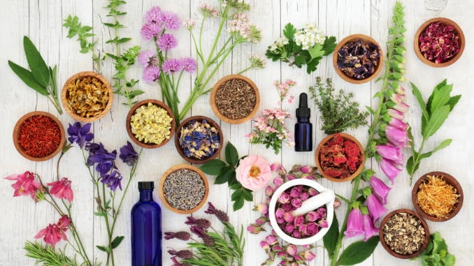 Benefits of Herbal Remedies