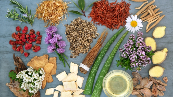 Exploring Herbal Medicines