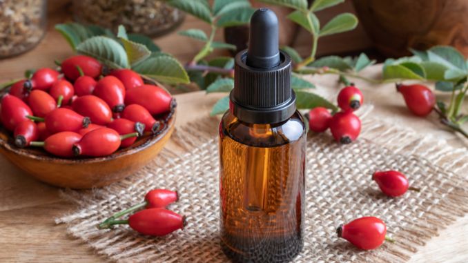 Rosehip Seed Oil - How To Choose The Right Skincare Products