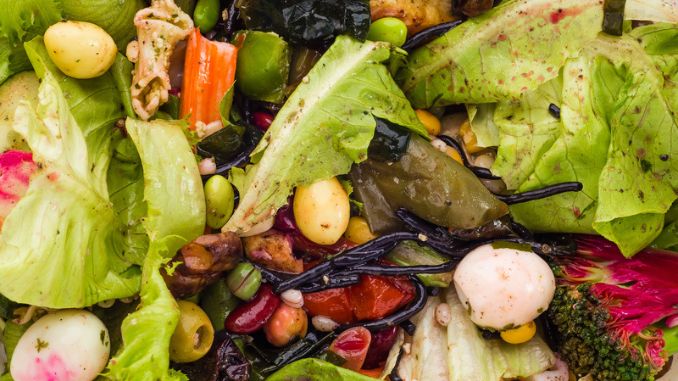 The Effect of Food Waste on the Environment
