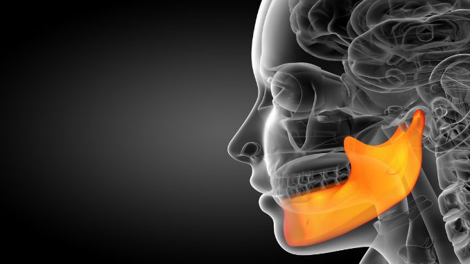 jaw-bone-side-view - Mewing Exercises