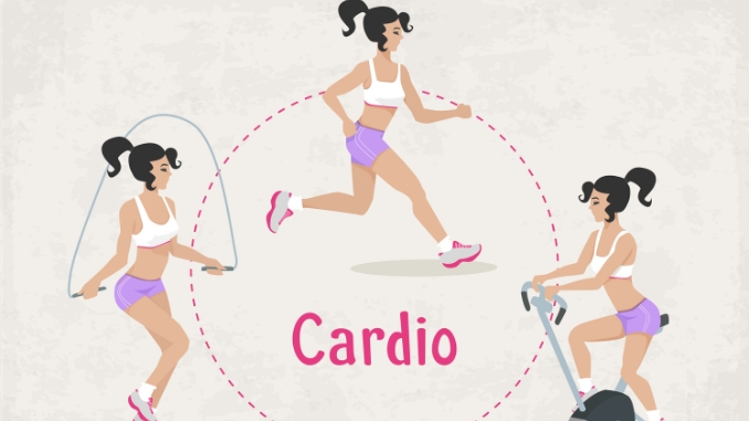 Cardiovascular Exercises