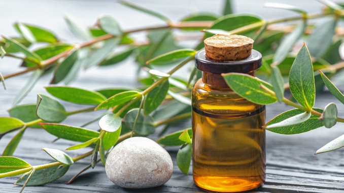 Eucalyptus Oil - Pure Essential Oils