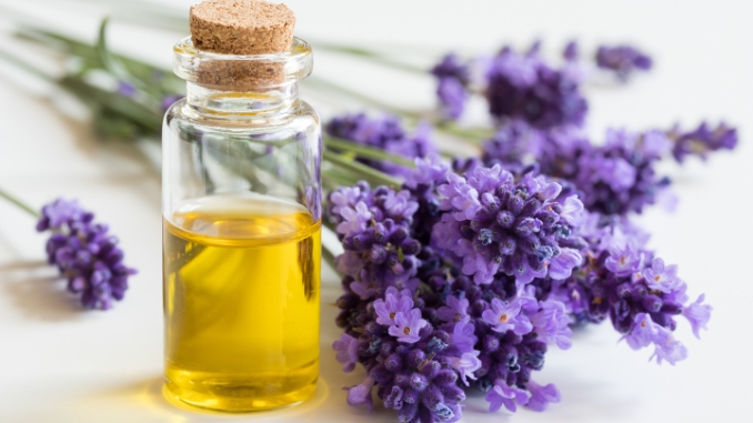 Lavender Oil