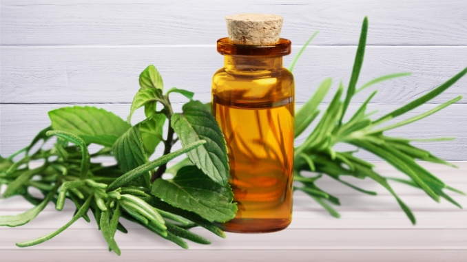 Tea Tree Oil - Pure Essential Oils