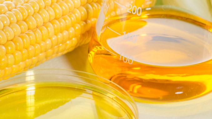 Corn Syrup - Is Corn Good for Weight Loss