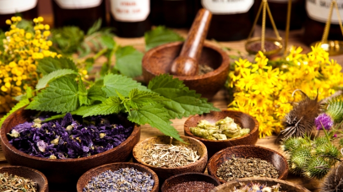 Expanding Your Herbal Arsenal