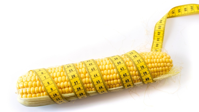 Is corn good for weight loss