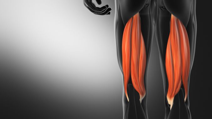 Hamstring Injury Exercises to Avoid for a Speedy Recovery