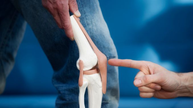 knee-joint - collagen benefits for men