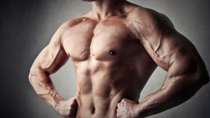 muscle-recovery - collagen benefits for men