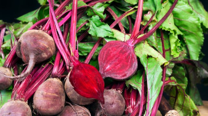 Beetroot