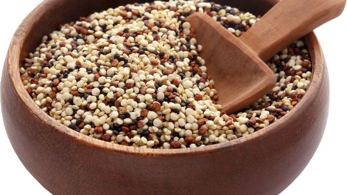 Quinoa- High Performance Foods 