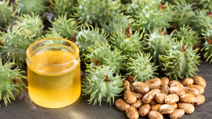 Discover the Truth: Is Castor Oil Good for Inflammation?