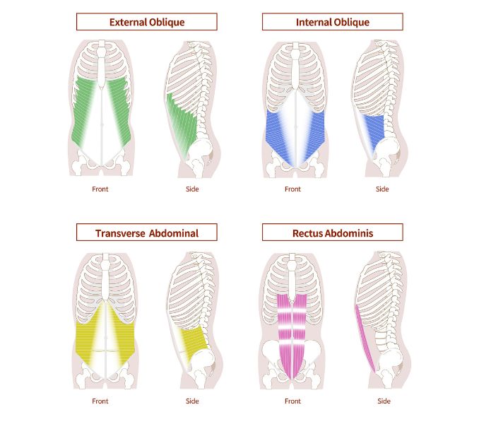 Understanding Abs and Core Muscles