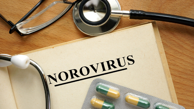 The Best Natural Remedies for Norovirus You Need to Know